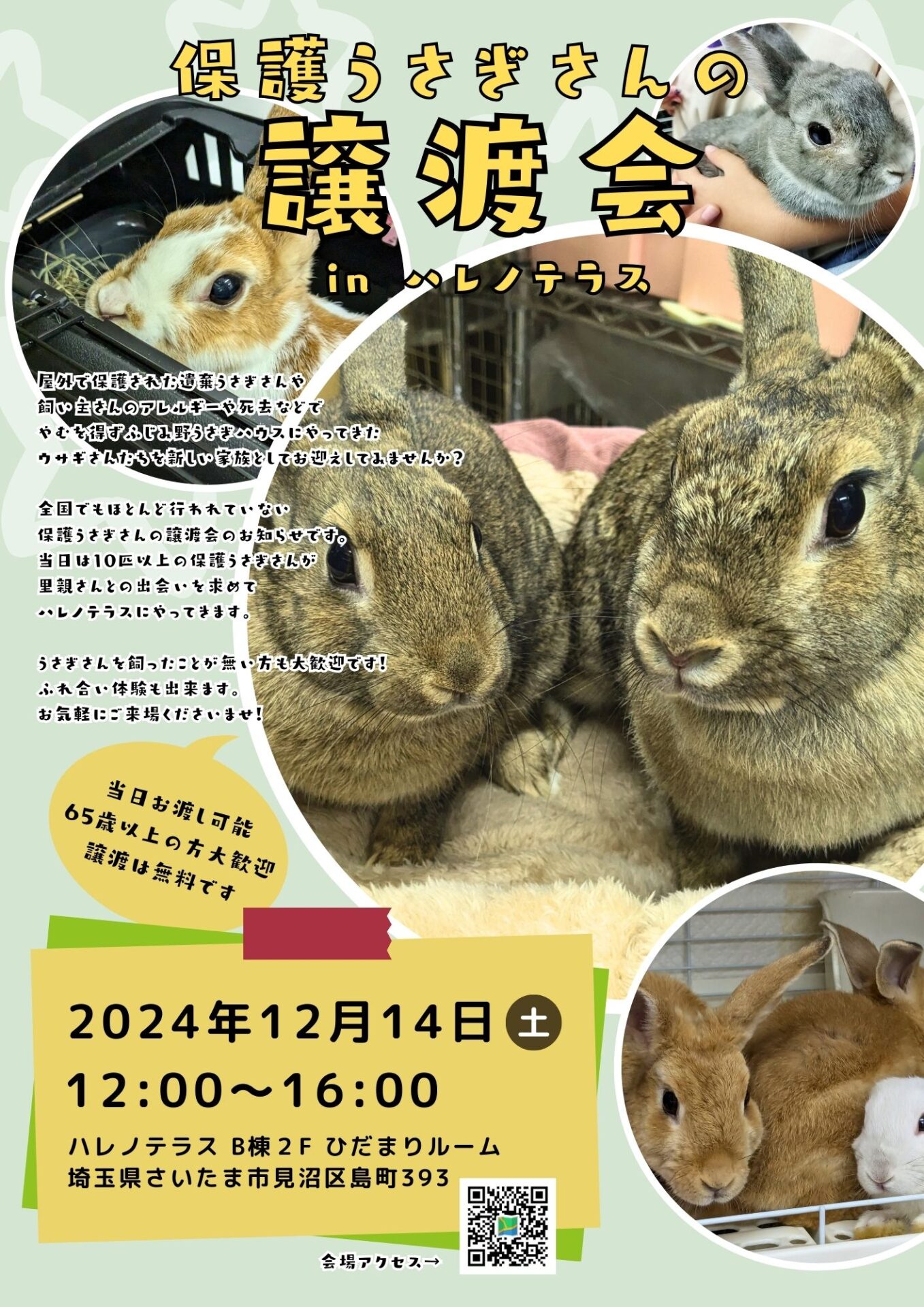 ウサギ✨即購入歓迎！さん専用 12月14日 保護うさぎさんの譲渡会 in ハレノテラス – ふじみ野うさぎ